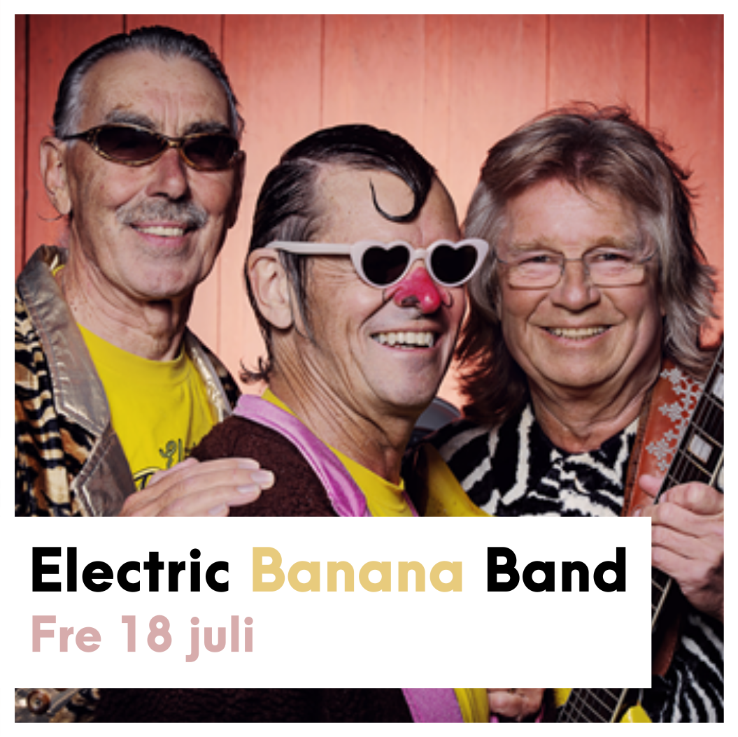 Electric Banana Band - Tre av medlemmarna